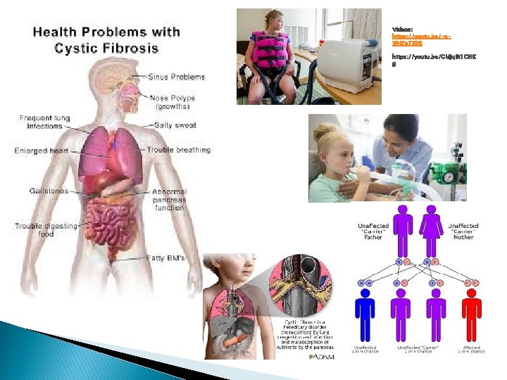 Videos: https: //youtu. be/-a. WHZo. TX 0 E https: //youtu. be/CMjq. Bt 1 CHK Videos: https: //youtu. be/-a. WHZo. TX 0 E https: //youtu. be/CMjq. Bt 1 CHK