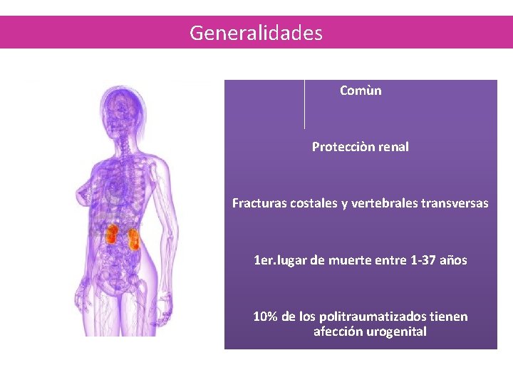 Generalidades Comùn Protecciòn renal Fracturas costales y vertebrales transversas 1 er. lugar de muerte