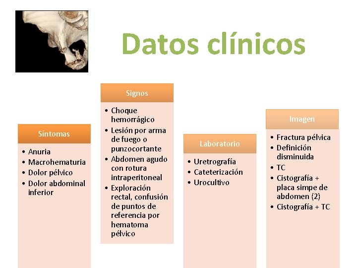 Datos clínicos Signos Síntomas • Anuria • Macrohematuria • Dolor pélvico • Dolor abdominal