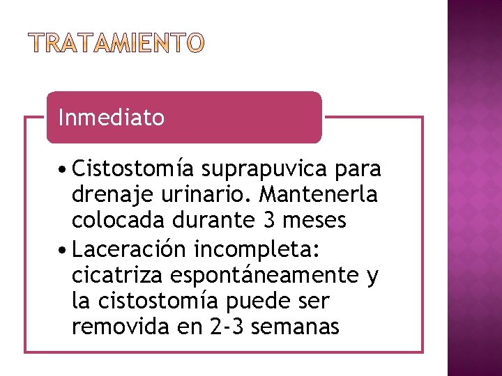 Inmediato • Cistostomía suprapuvica para drenaje urinario. Mantenerla colocada durante 3 meses • Laceración