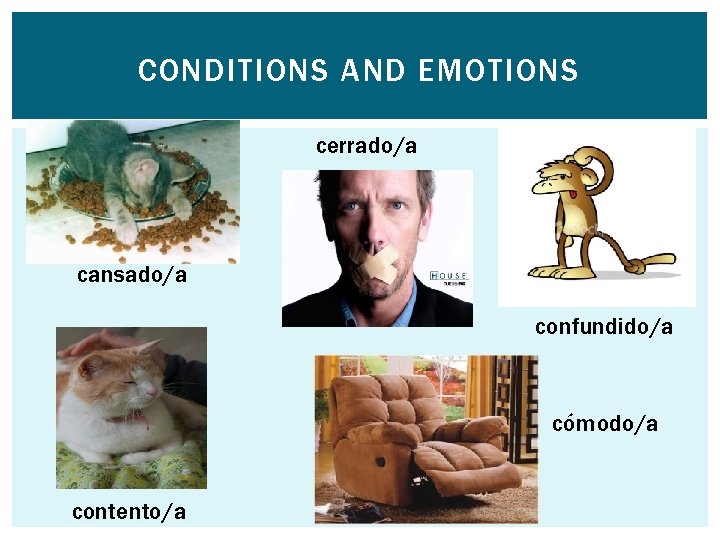 CONDITIONS AND EMOTIONS cerrado/a cansado/a confundido/a cómodo/a contento/a 