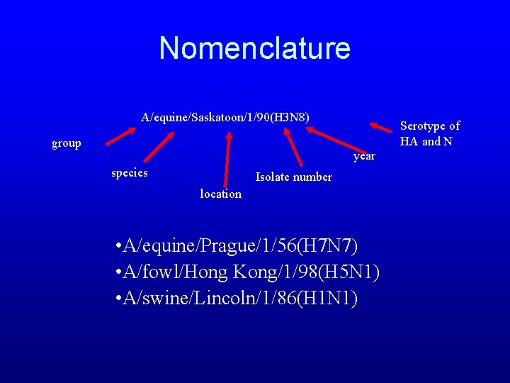 Nomenclature A/equine/Saskatoon/1/90(H 3 N 8) group Serotype of HA and N year species Isolate Nomenclature A/equine/Saskatoon/1/90(H 3 N 8) group Serotype of HA and N year species Isolate