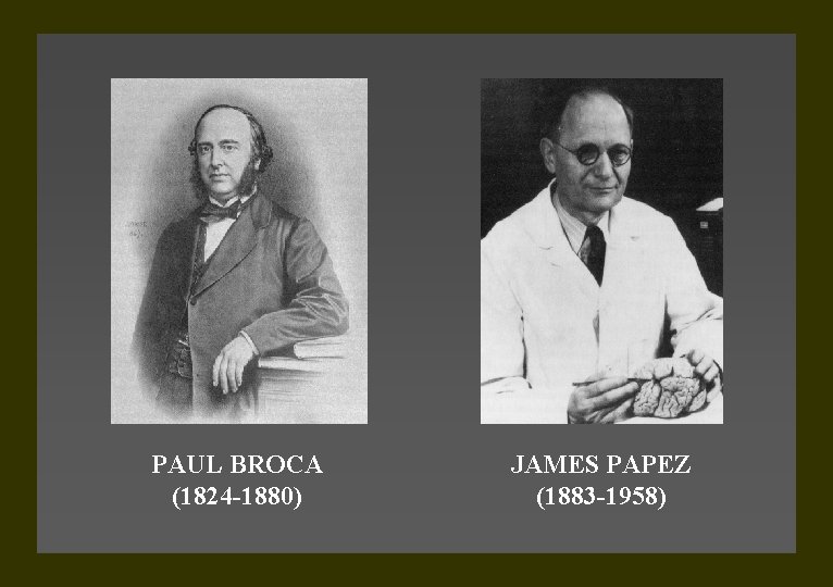 PAUL BROCA (1824 -1880) JAMES PAPEZ (1883 -1958) 