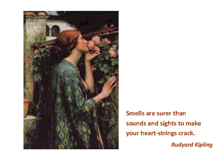 Smells are surer than sounds and sights to make your heart-strings crack. Rudyard Kipling