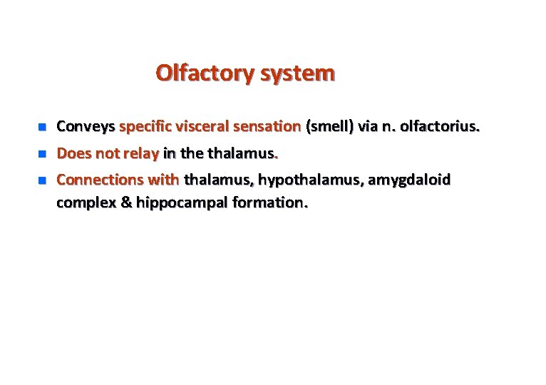 Olfactory system n Conveys specific visceral sensation (smell) via n. olfactorius. n Does not