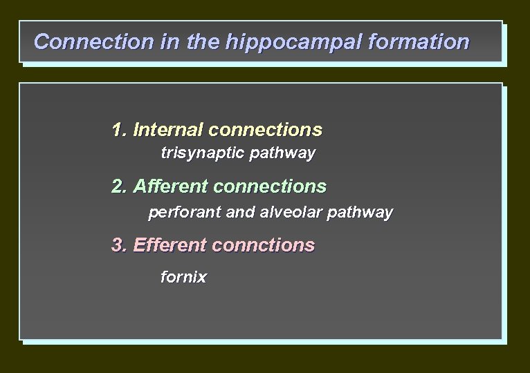 Connection in the hippocampal formation 1. Internal connections trisynaptic pathway 2. Afferent connections perforant