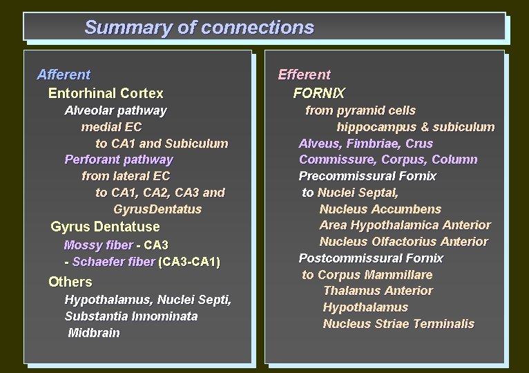 Summary of connections Afferent Entorhinal Cortex Alveolar pathway medial EC to CA 1 and