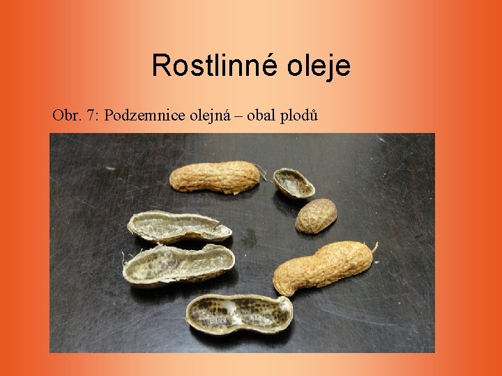Rostlinné oleje Obr. 7: Podzemnice olejná – obal plodů Rostlinné oleje Obr. 7: Podzemnice olejná – obal plodů