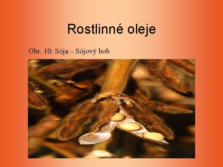 Rostlinné oleje Obr. 10: Sója – Sójový bob Rostlinné oleje Obr. 10: Sója – Sójový bob