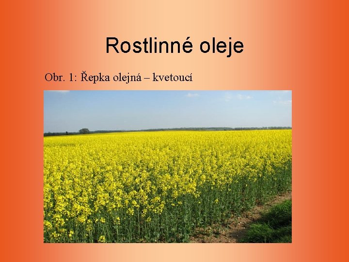 Rostlinné oleje Obr. 1: Řepka olejná – kvetoucí Rostlinné oleje Obr. 1: Řepka olejná – kvetoucí