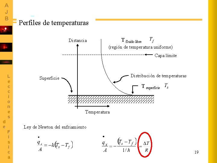 Perfiles de temperaturas T fluido libre Distancia (región de temperatura uniforme) Capa límite Distribución