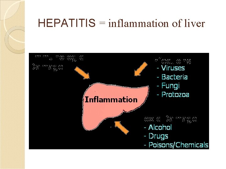 HEPATITIS = inflammation of liver 