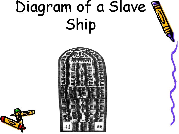 Diagram of a Slave Ship 