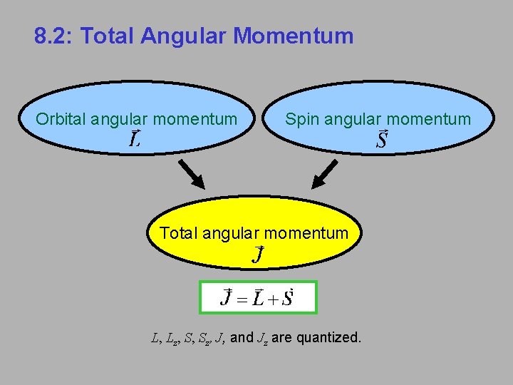 8. 2: Total Angular Momentum Orbital angular momentum Spin angular momentum Total angular momentum