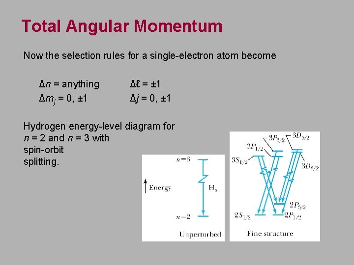 Total Angular Momentum Now the selection rules for a single-electron atom become Δn =