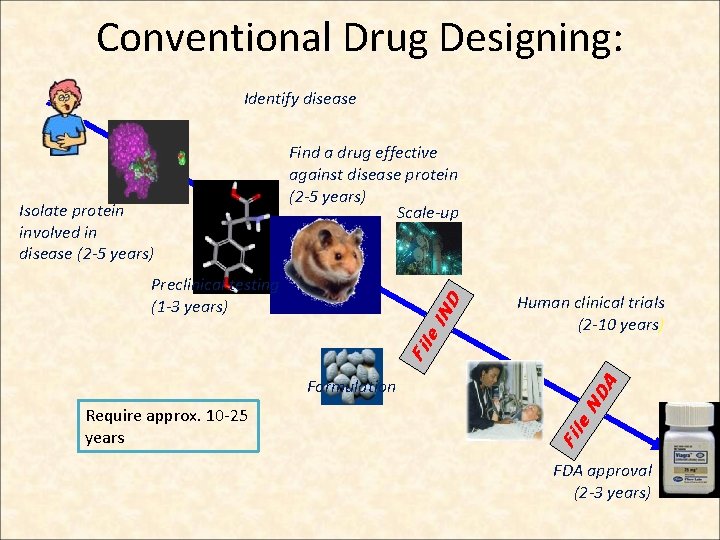 Conventional Drug Designing: Identify disease Isolate protein involved in disease (2 -5 years) Find