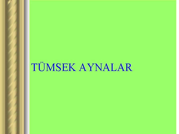 TÜMSEK AYNALAR 