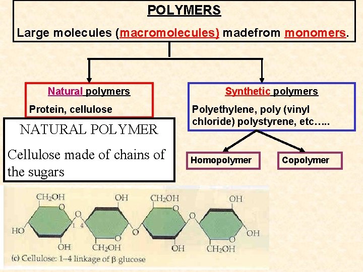 POLYMERS Large molecules (macromolecules) madefrom monomers. Natural polymers Protein, cellulose NATURAL POLYMER Cellulose made