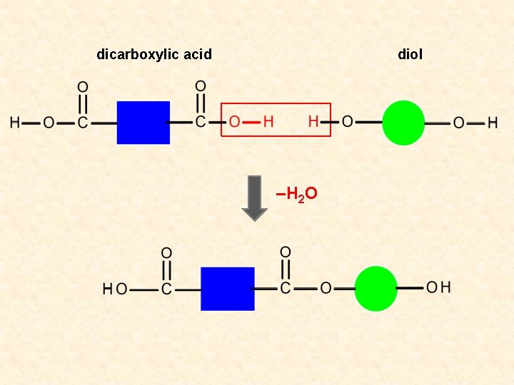 dicarboxylic acid diol –H 2 O 