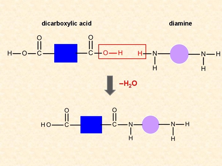 dicarboxylic acid diamine –H 2 O 