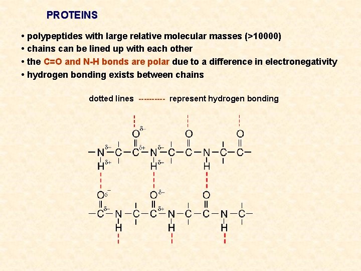 PROTEINS • polypeptides with large relative molecular masses (>10000) • chains can be lined