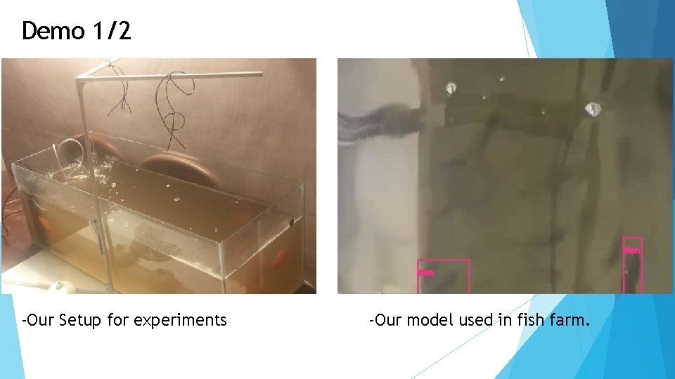 Demo 1/2 -Our Setup for experiments -Our model used in fish farm. 