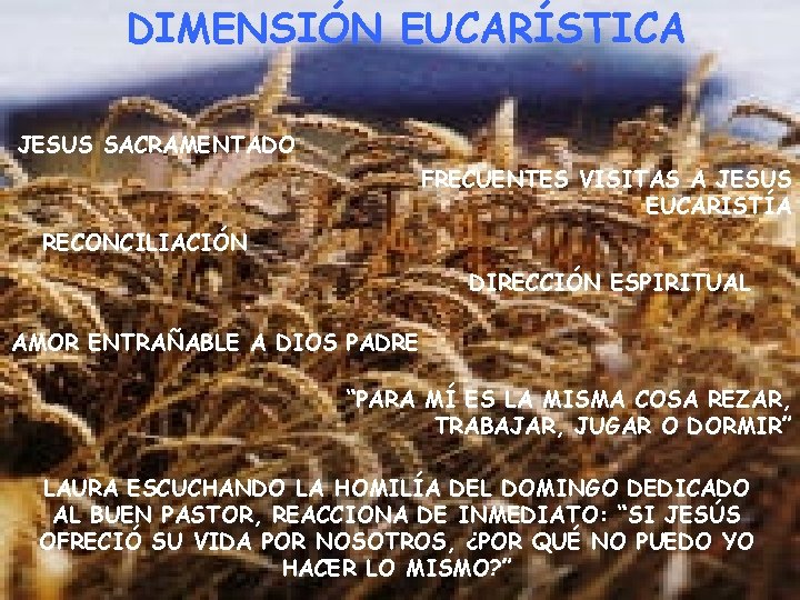 DIMENSIÓN EUCARÍSTICA JESUS SACRAMENTADO FRECUENTES VISITAS A JESUS EUCARISTÍA RECONCILIACIÓN DIRECCIÓN ESPIRITUAL AMOR ENTRAÑABLE