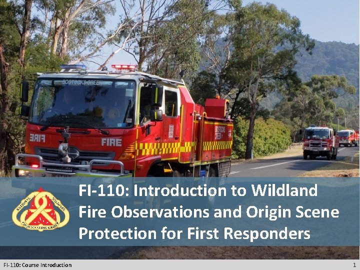 FI-110: Introduction to Wildland Fire Observations and Origin Scene Protection for First Responders FI-110: