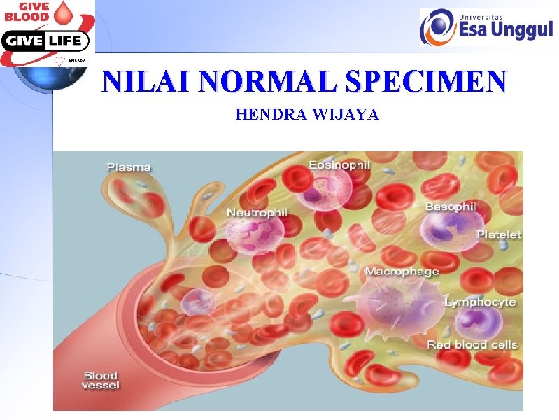 NILAI NORMAL SPECIMEN HENDRA WIJAYA 