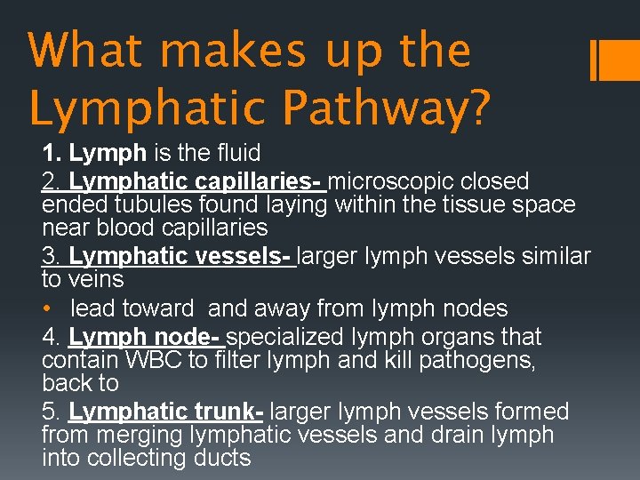 What makes up the Lymphatic Pathway? 1. Lymph is the fluid 2. Lymphatic capillaries-
