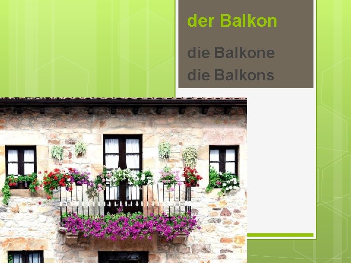 der Balkon die Balkone die Balkons 