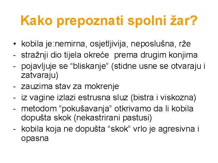 Kako prepoznati spolni žar? • kobila je: nemirna, osjetljivija, neposlušna, rže - stražnji dio