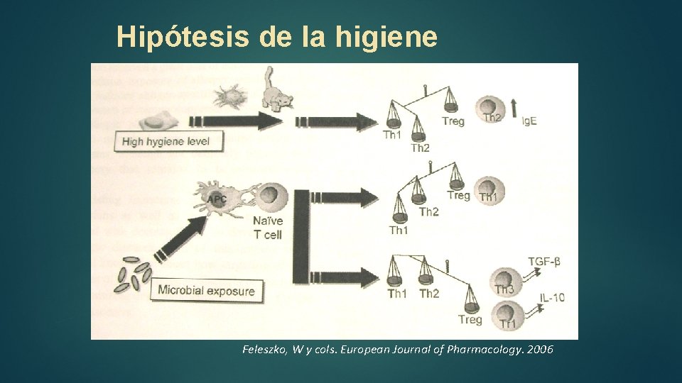 Hipótesis de la higiene Feleszko, W y cols. European Journal of Pharmacology. 2006 