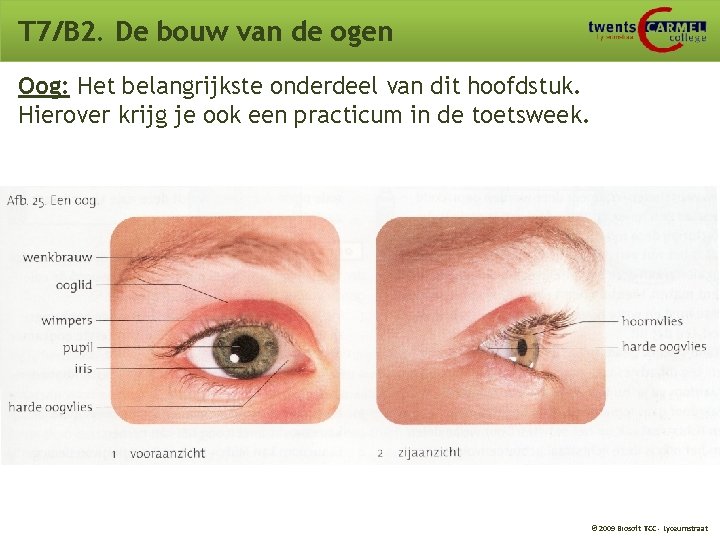 T 7/B 2. De bouw van de ogen Oog: Het belangrijkste onderdeel van dit T 7/B 2. De bouw van de ogen Oog: Het belangrijkste onderdeel van dit