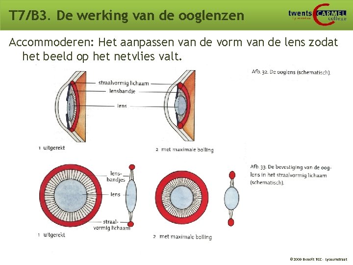 T 7/B 3. De werking van de ooglenzen Accommoderen: Het aanpassen van de vorm T 7/B 3. De werking van de ooglenzen Accommoderen: Het aanpassen van de vorm