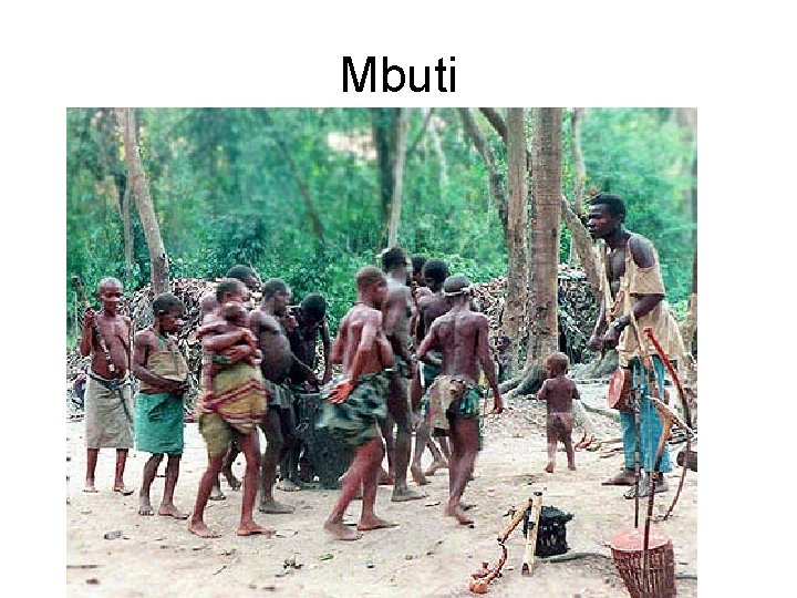 Mbuti 