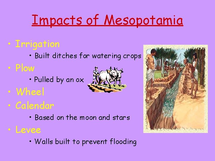 Impacts of Mesopotamia • Irrigation • Built ditches for watering crops • Plow •
