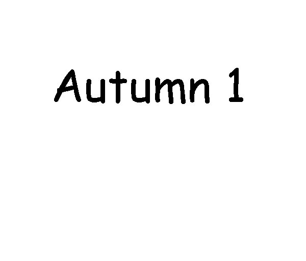 Autumn 1 