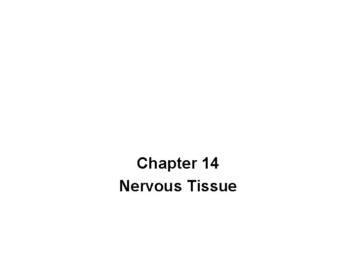 Chapter 14 Nervous Tissue 
