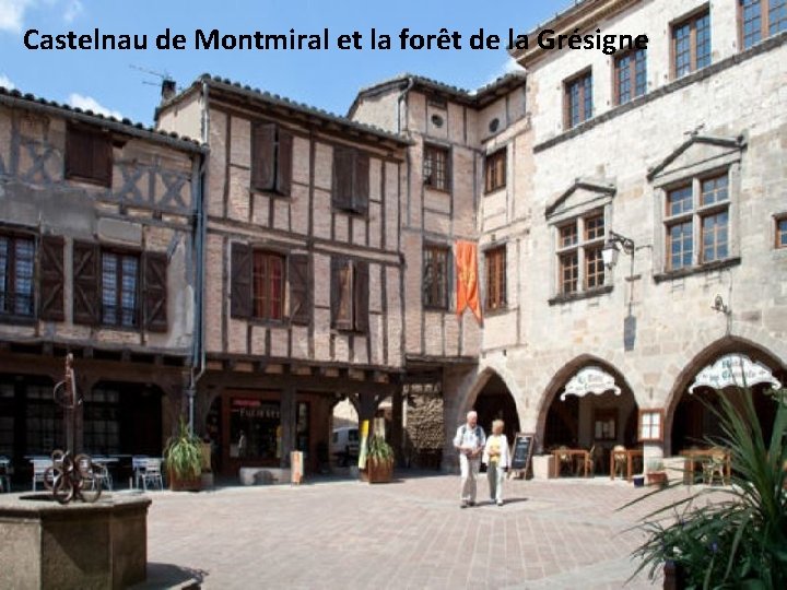 Castelnau de Montmiral et la forêt de la Grésigne 