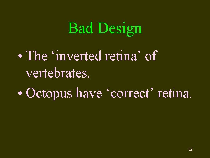 Bad Design • The ‘inverted retina’ of vertebrates. • Octopus have ‘correct’ retina. 12