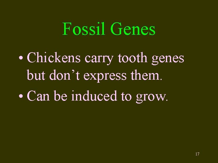 Fossil Genes • Chickens carry tooth genes but don’t express them. • Can be