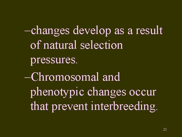 –changes develop as a result of natural selection pressures. –Chromosomal and phenotypic changes occur