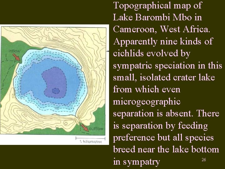 Topographical map of Lake Barombi Mbo in Cameroon, West Africa. Apparently nine kinds of