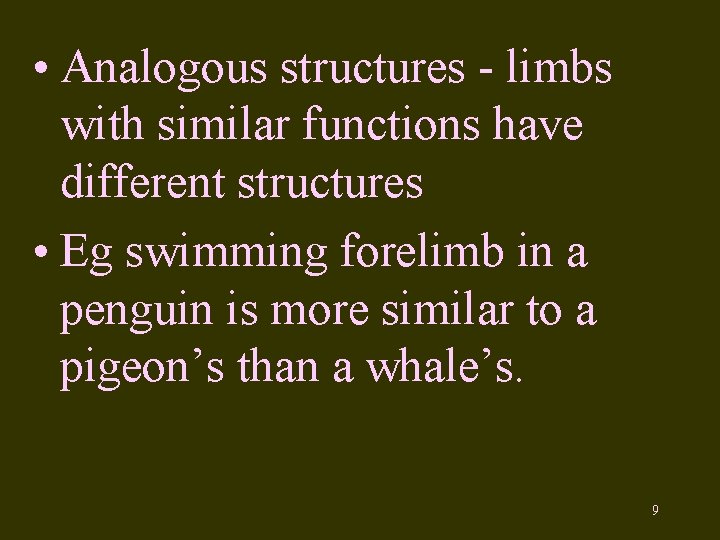  • Analogous structures - limbs with similar functions have different structures • Eg