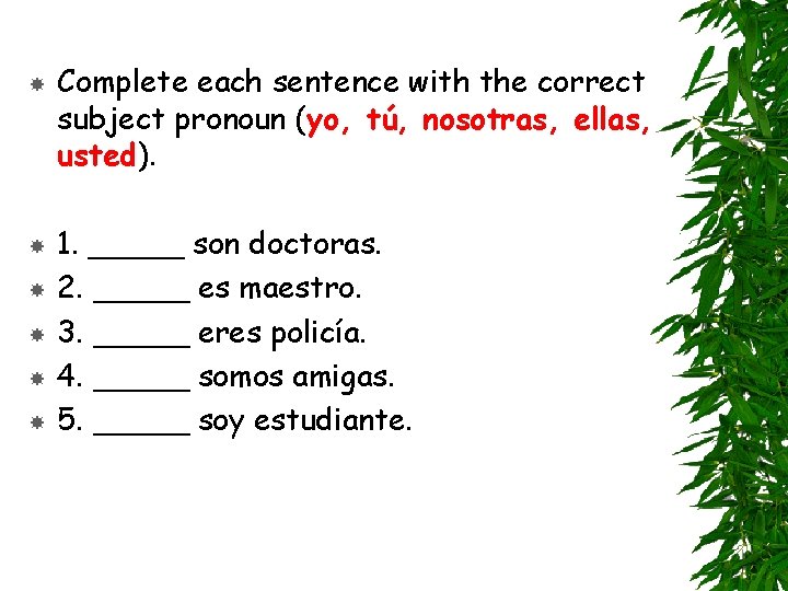  Complete each sentence with the correct subject pronoun (yo, tú, nosotras, ellas, usted).