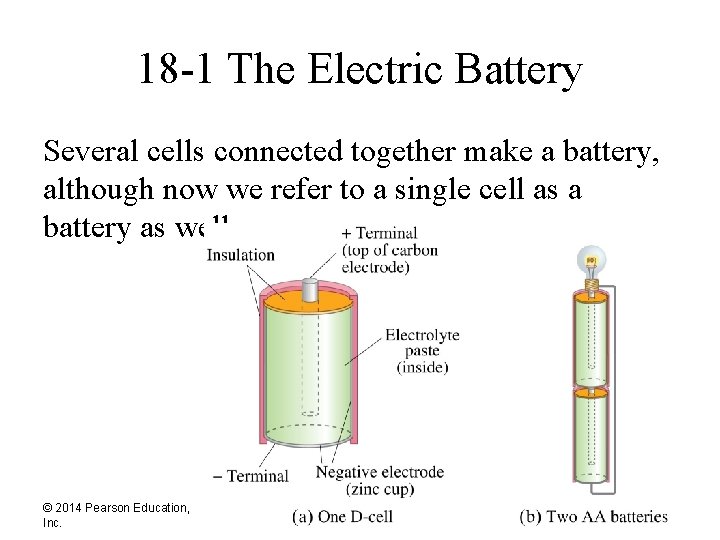 18 -1 The Electric Battery Several cells connected together make a battery, although now
