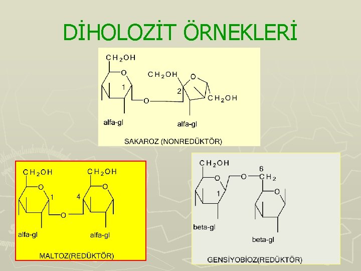 DİHOLOZİT ÖRNEKLERİ 