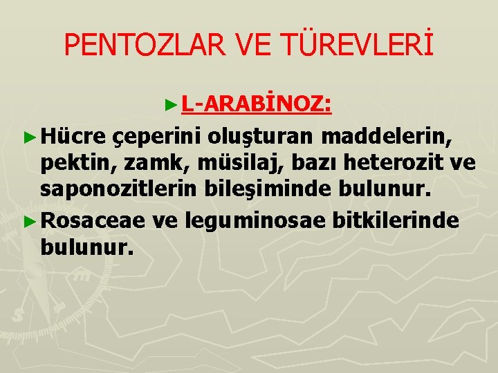 PENTOZLAR VE TÜREVLERİ ► L-ARABİNOZ: ► Hücre çeperini oluşturan maddelerin, pektin, zamk, müsilaj, bazı