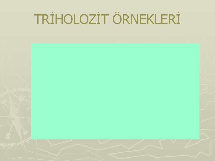 TRİHOLOZİT ÖRNEKLERİ 